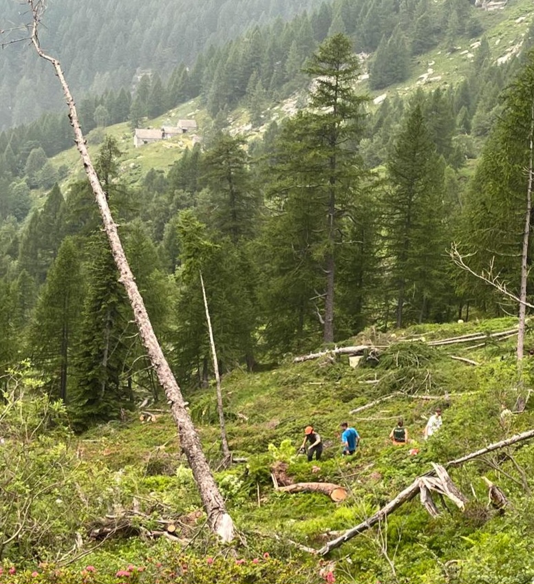 Efra 2025 intervento